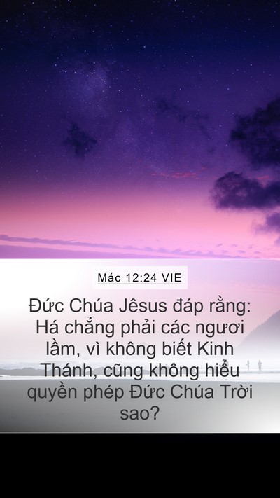 Mác 12:24 VIE Bible Verse Image