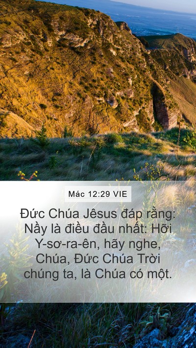 Mác 12:29 VIE Bible Verse Image