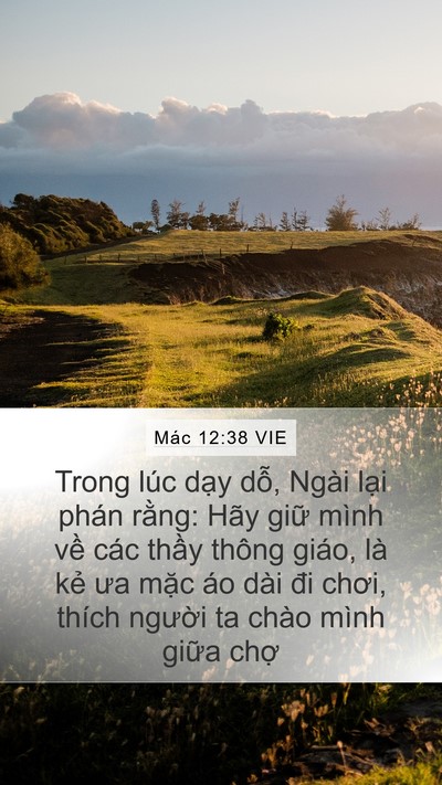 Mác 12:38 VIE Bible Verse Image