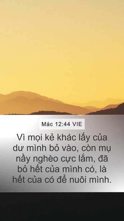 Mác 12:44 VIE Bible Verse Image