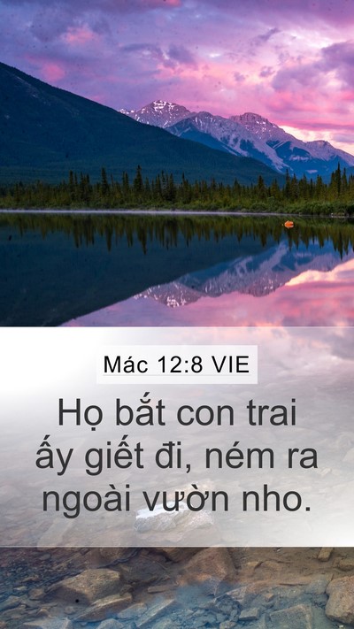 Mác 12:8 VIE Mobile Phone Wallpaper - Họ bắt con trai ấy giết đi, ném ra - Mobile Bible Verse Wallpaper