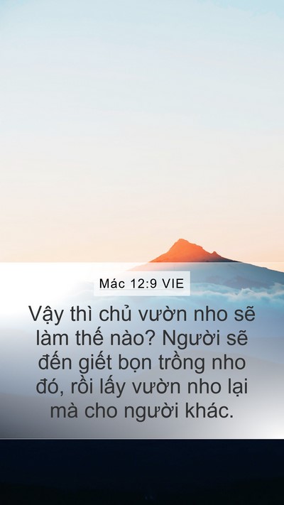 Mác 12:9 VIE Bible Verse Image