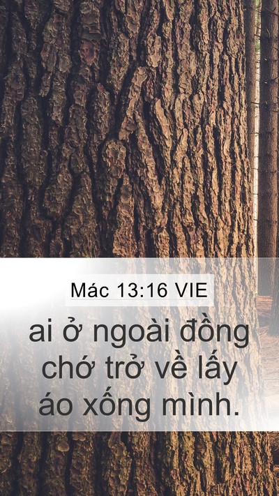 Mác 13:16 VIE Mobile Phone Wallpaper - ai ở ngoài đồng chớ trở về lấy áo - Mobile Bible Verse Wallpaper