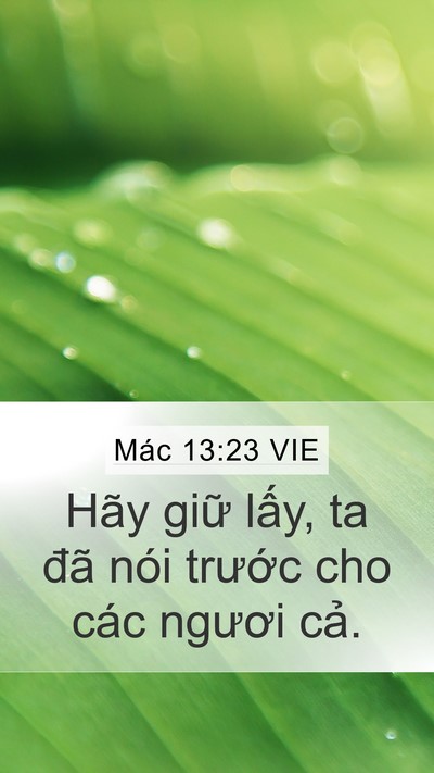 Mác 13:23 VIE Bible Verse Image