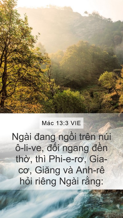 Mác 13:3 VIE Bible Verse Image