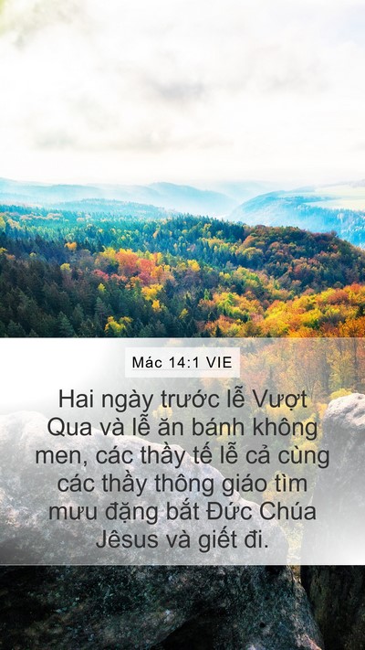 Mác 14:1 VIE Bible Verse Image