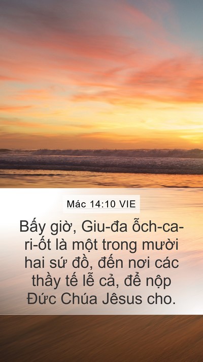 Mác 14:10 VIE Bible Verse Image