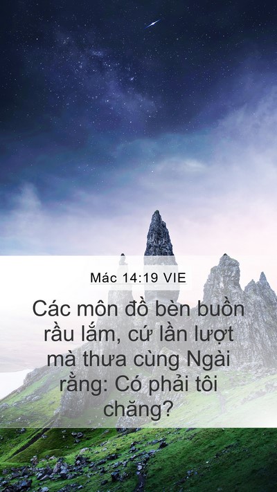 Mác 14:19 VIE Bible Verse Image