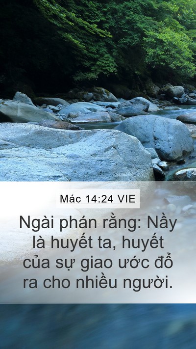 Mác 14:24 VIE Bible Verse Image