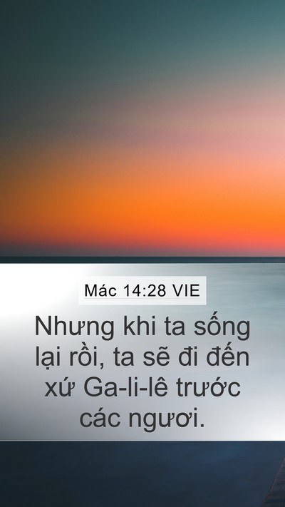 Mác 14:28 VIE Bible Verse Image