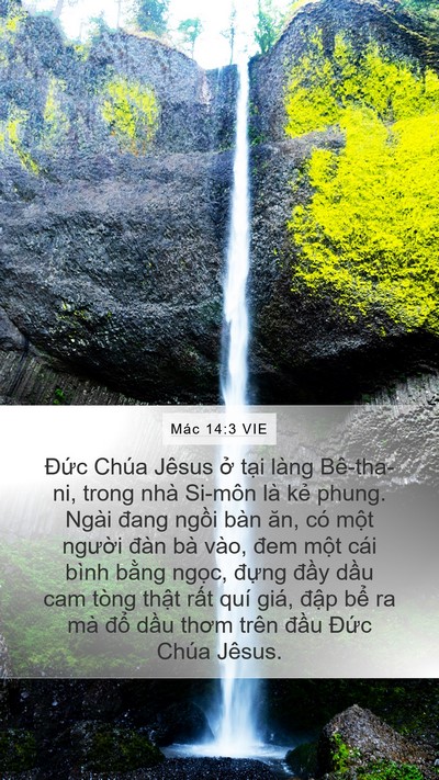 Mác 14:3 VIE Bible Verse Image