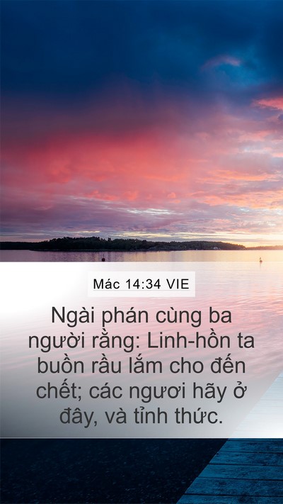 Mác 14:34 VIE Bible Verse Image