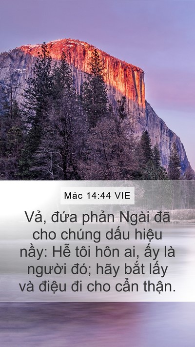 Mác 14:44 VIE Bible Verse Image