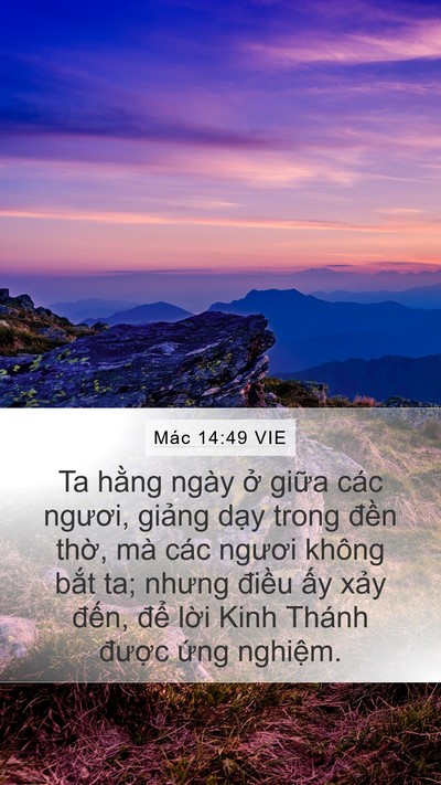 Mác 14:49 VIE Mobile Phone Wallpaper - Ta hằng ngày ở giữa các ngươi, giảng - Mobile Bible Verse Wallpaper