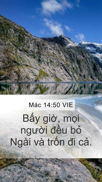 Mác 14:50 VIE Bible Verse Image
