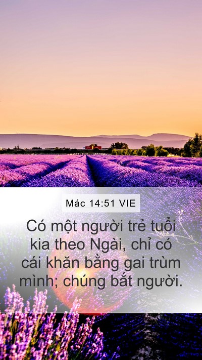 Mác 14:51 VIE Mobile Phone Wallpaper - Có một người trẻ tuổi kia theo Ngài, - Mobile Bible Verse Wallpaper
