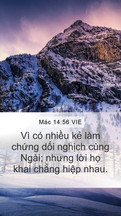 Mác 14:56 VIE Bible Verse Image