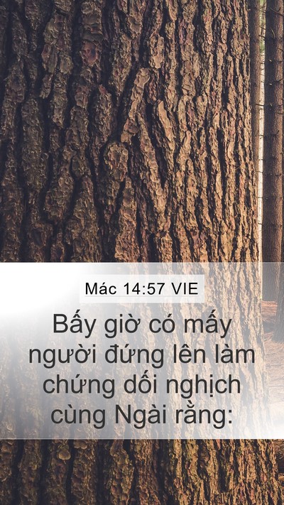 Mác 14:57 VIE Bible Verse Image