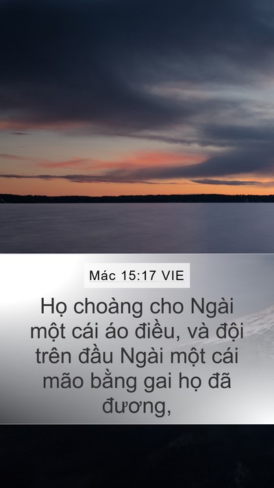 Mác 15:17 VIE Bible Verse Image