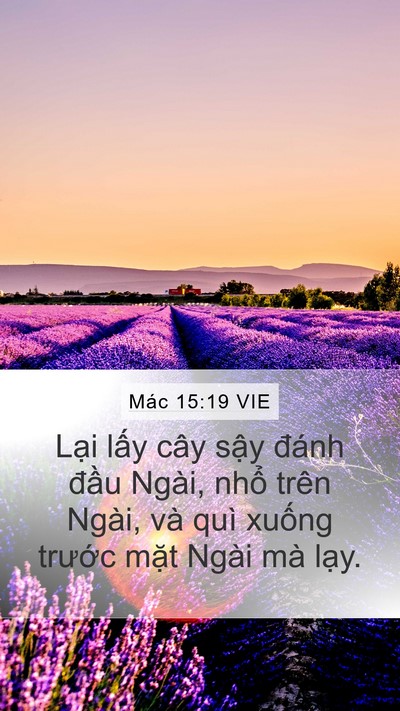 Mác 15:19 VIE Bible Verse Image