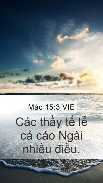 Mác 15:3 VIE Bible Verse Image