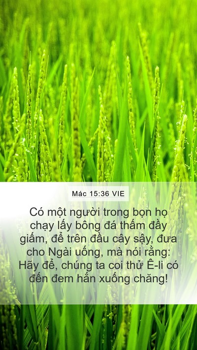 Mác 15:36 VIE Bible Verse Image