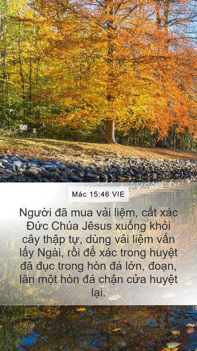 Mác 15:46 VIE Bible Verse Image