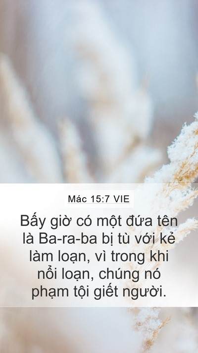 Mác 15:7 VIE Bible Verse Image