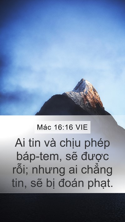 Mác 16:16 VIE Bible Verse Image