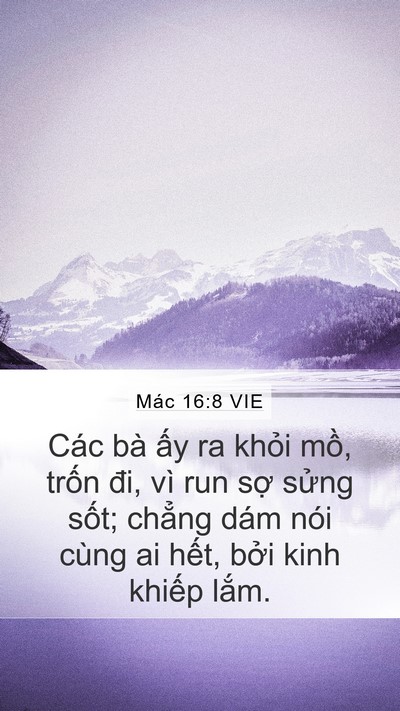 Mác 16:8 VIE Bible Verse Image
