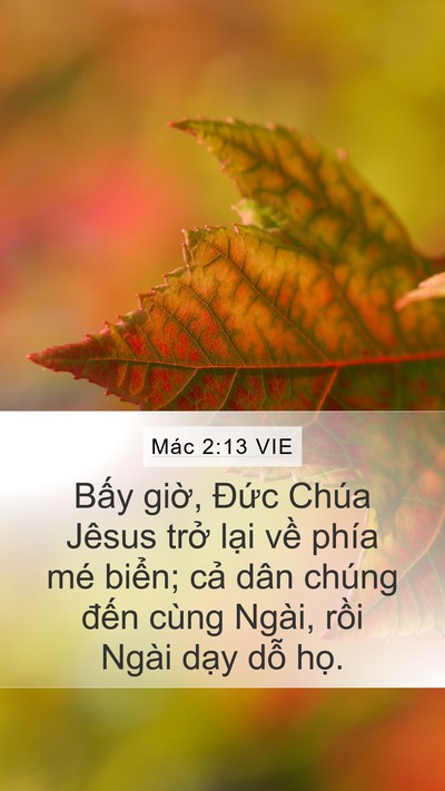 Mác 2:13 VIE Bible Verse Image