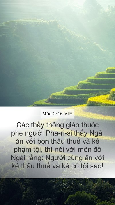 Mác 2:16 VIE Bible Verse Image