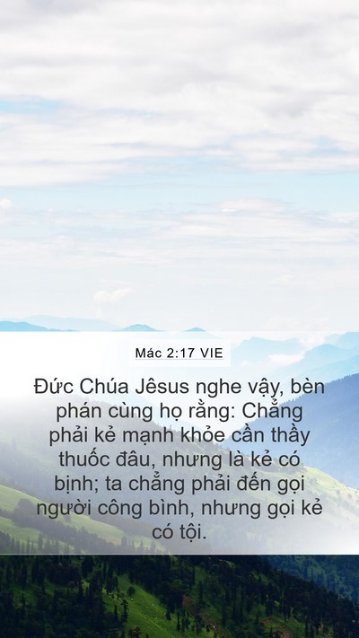 Mác 2:17 VIE Bible Verse Image