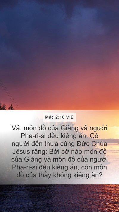 Mác 2:18 VIE Bible Verse Image