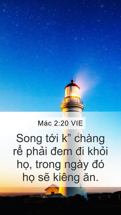 Mác 2:20 VIE Bible Verse Image