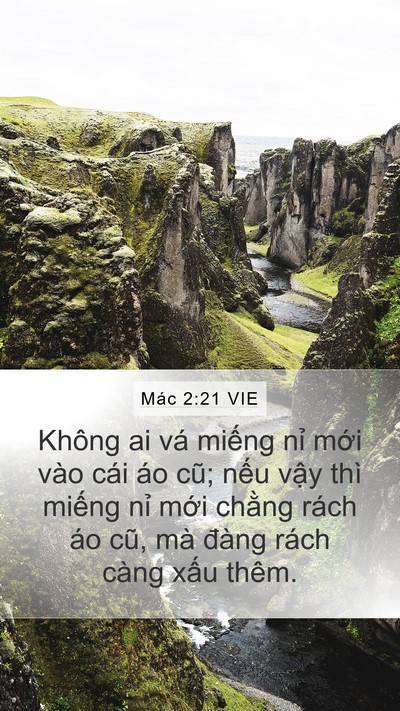 Mác 2:21 VIE Bible Verse Image
