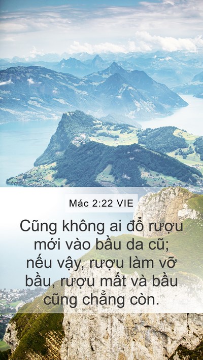 Mác 2:22 VIE Bible Verse Image