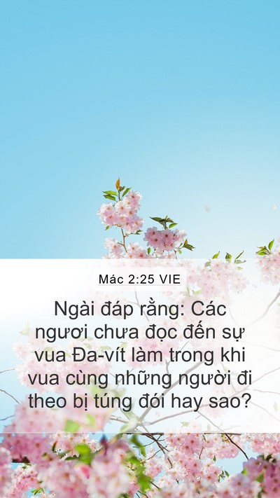 Mác 2:25 VIE Bible Verse Image