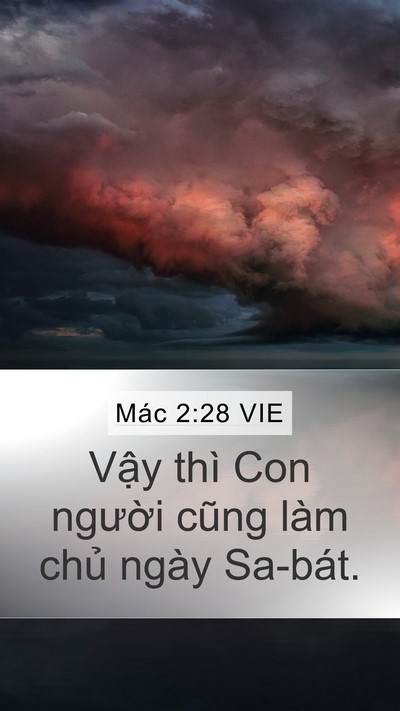 Mác 2:28 VIE Bible Verse Image