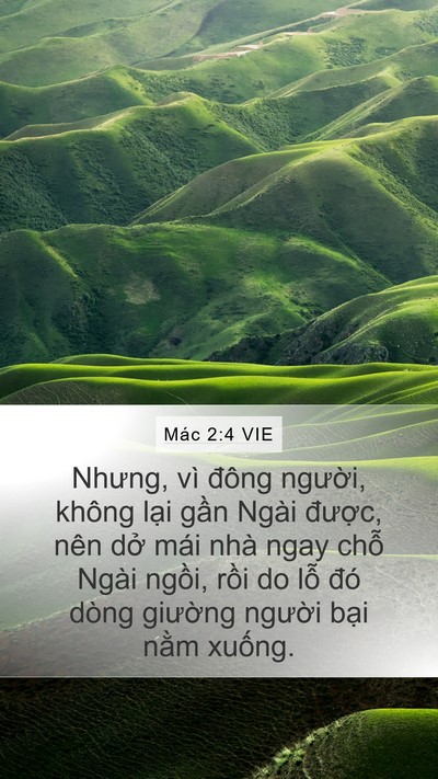 Mác 2:4 VIE Bible Verse Image