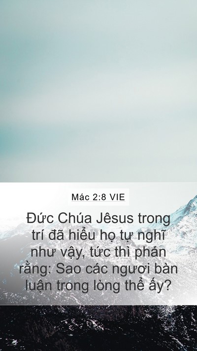 Mác 2:8 VIE Bible Verse Image