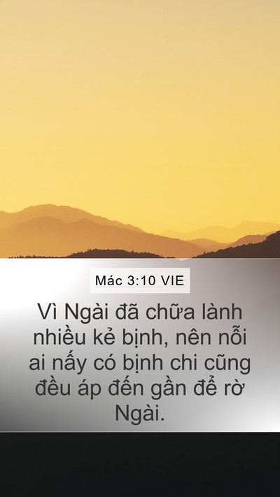 Mác 3:10 VIE Bible Verse Image