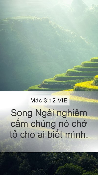 Mác 3:12 VIE Mobile Phone Wallpaper - Song Ngài nghiêm cấm chúng nó chớ tỏ - Mobile Bible Verse Wallpaper