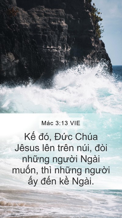 Mác 3:13 VIE Bible Verse Image