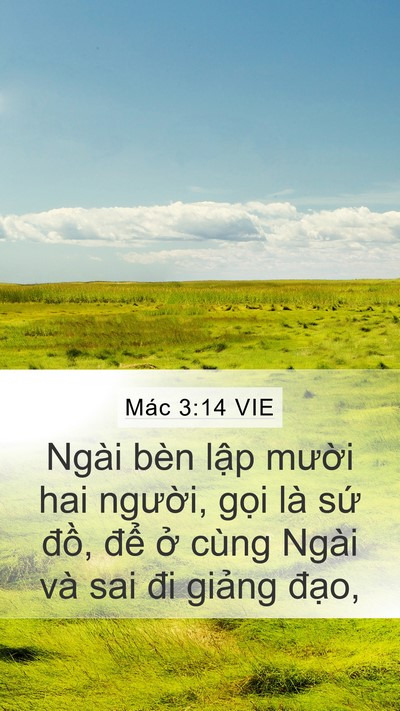 Mác 3:14 VIE Bible Verse Image