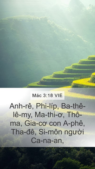 Mác 3:18 VIE Bible Verse Image