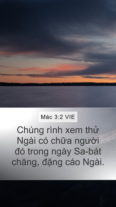 Mác 3:2 VIE Bible Verse Image