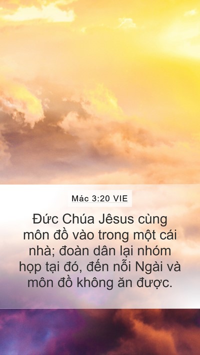 Mác 3:20 VIE Bible Verse Image