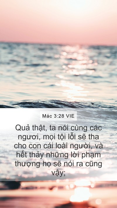 Mác 3:28 VIE Bible Verse Image