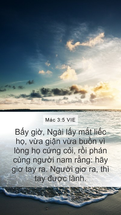 Mác 3:5 VIE Bible Verse Image